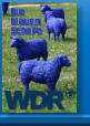 Die blauen Schafe, WDR