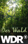 Der Wald, WDR
