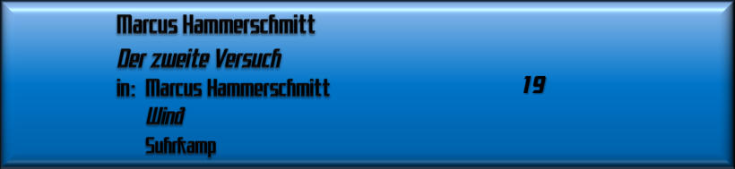 Marcus Hammerschmitt, Der zweite Versuch