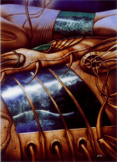 Illustration in: Meamones Auge