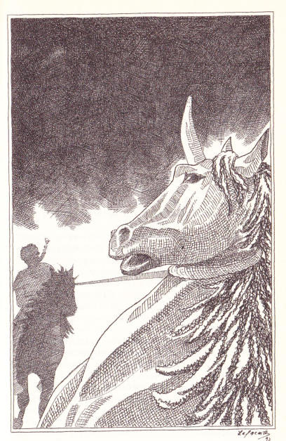 Illustration zu: Der Spiegel von Lop Nor