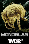 Mondglas, WDR