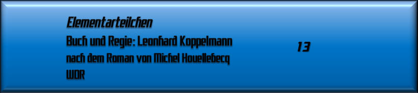 Elementarteilchen
