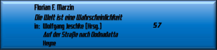 Florian F. Marzin, Die Welt ist eine Wahrscheinlichkeit