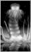 Illustration zu: Imagon