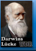 Darwins Lücke, WDR