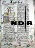 Das Lewskow-Manuskript, NDR