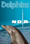 Dolphins, NDR