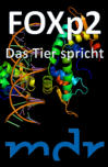 FOXp2 - Das Tier spricht, MDR