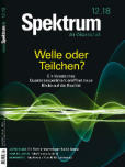 Cover von: Spektrum 12/2018