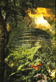 Illustration in: Der grüne Planet