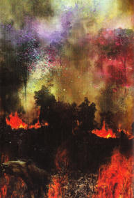 Illustration in: Der grüne Planet