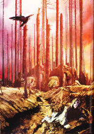 Illustration in: Der grüne Planet