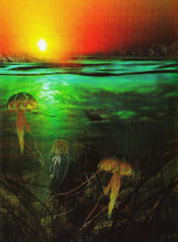 Illustration in: Der grüne Planet