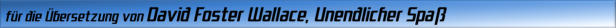 für die Übersetzung von David Foster Wallace, Unendlicher Spaß