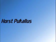 Horst Pukallus